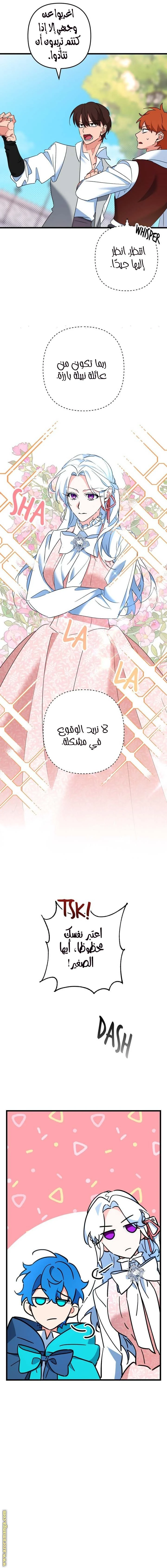 الصفحة 8