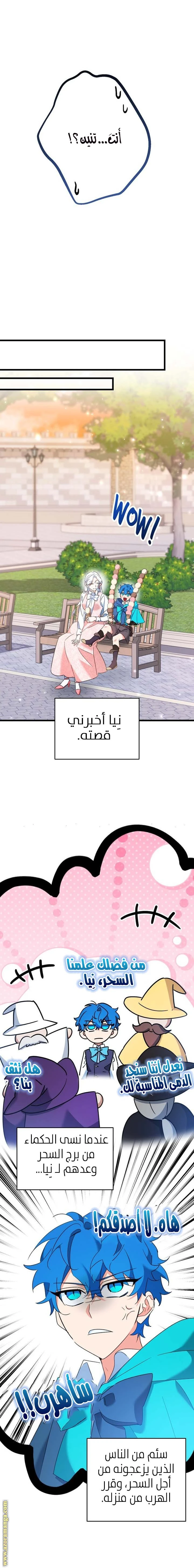 الصفحة 11
