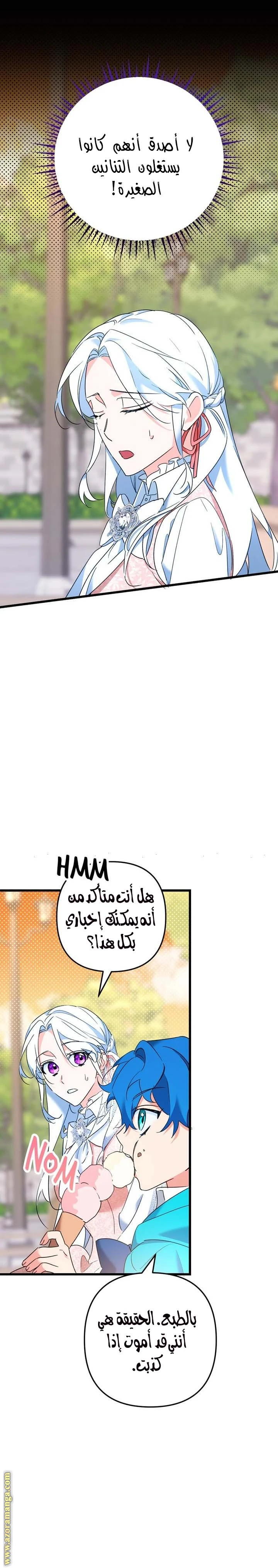 الصفحة 13