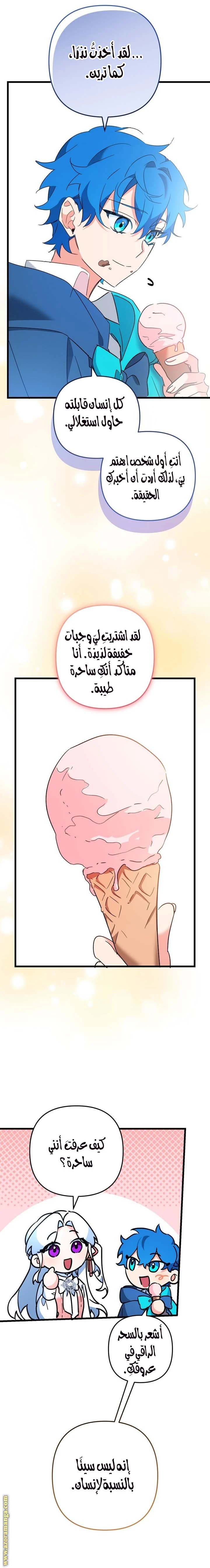 الصفحة 14