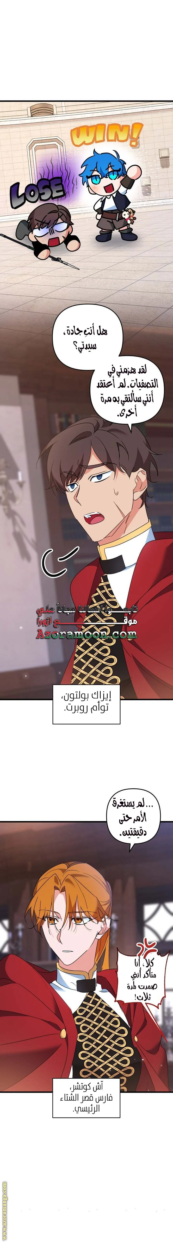الصفحة 17
