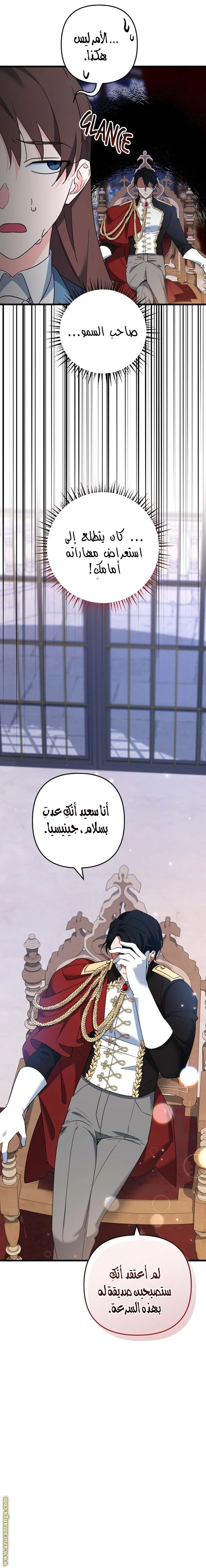 الصفحة 19