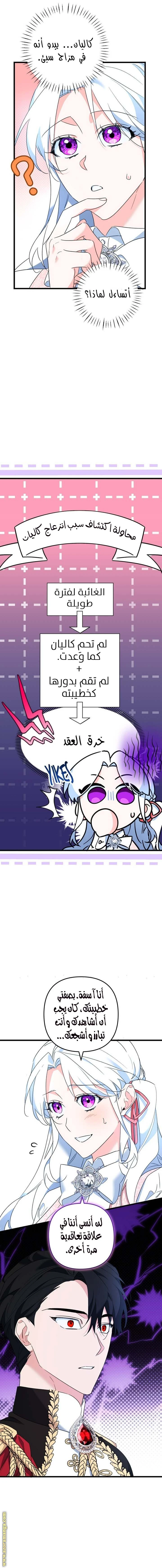 الصفحة 21