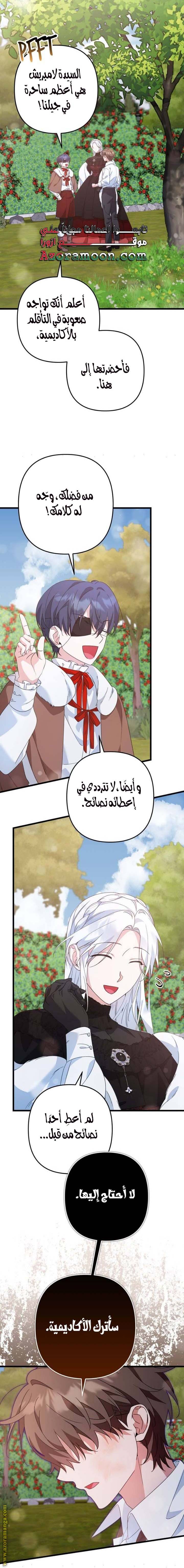 الصفحة 13