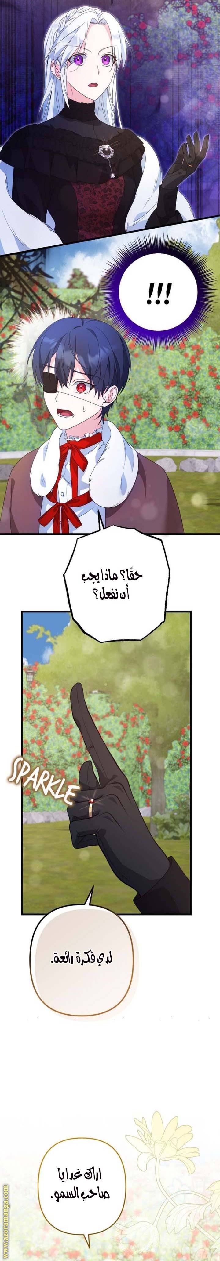 الصفحة 17