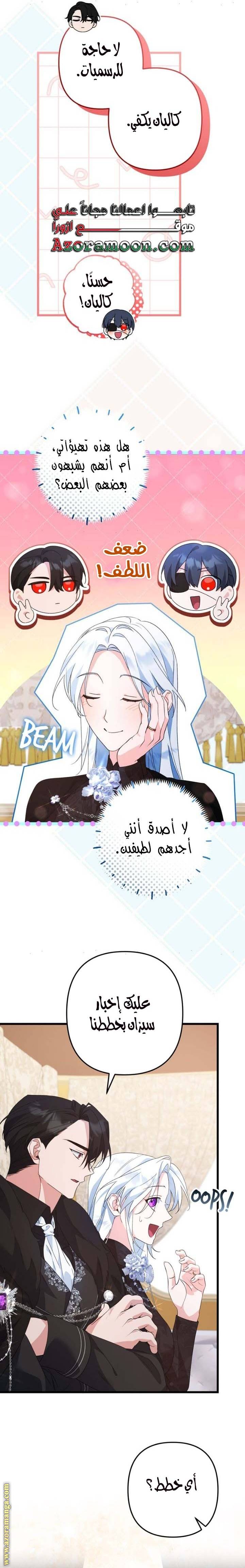 الصفحة 20
