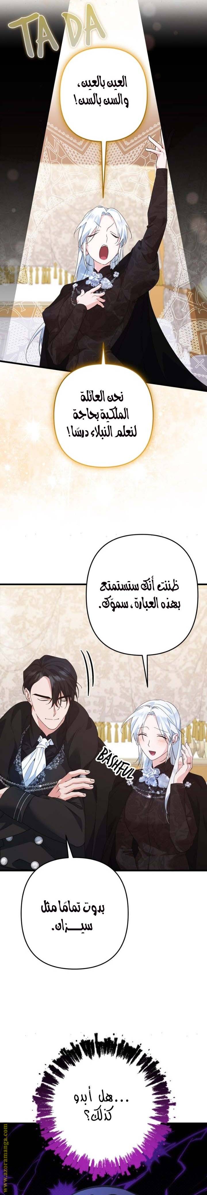 الصفحة 21