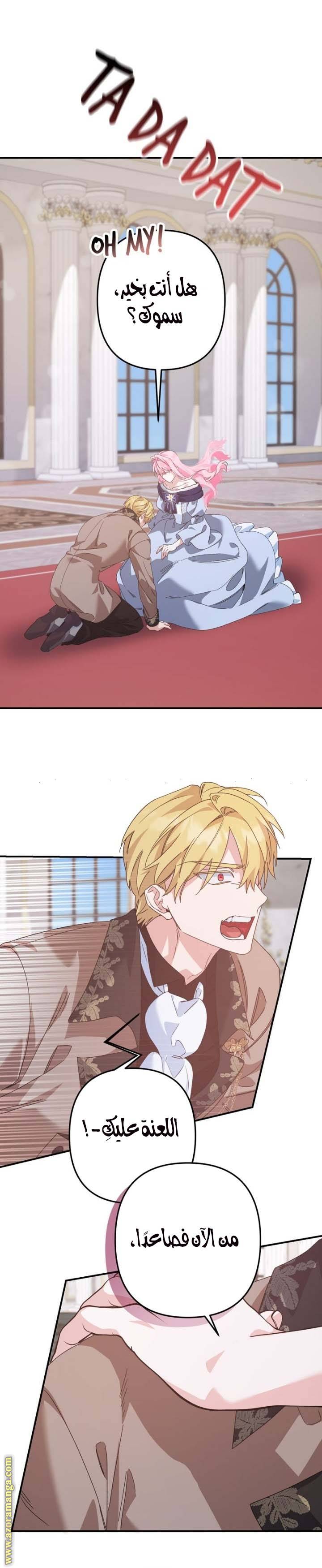 الصفحة 13