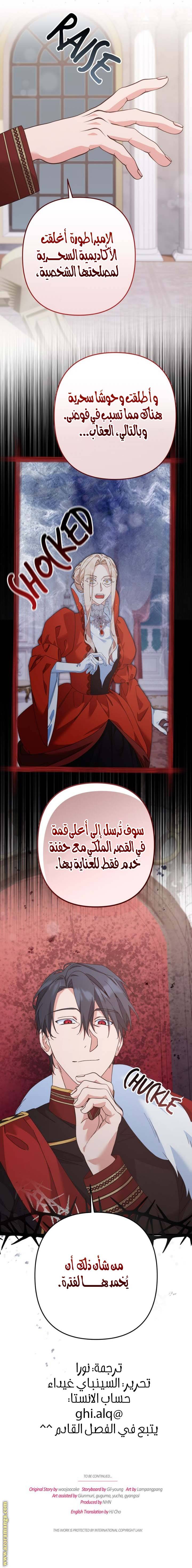 الصفحة 13
