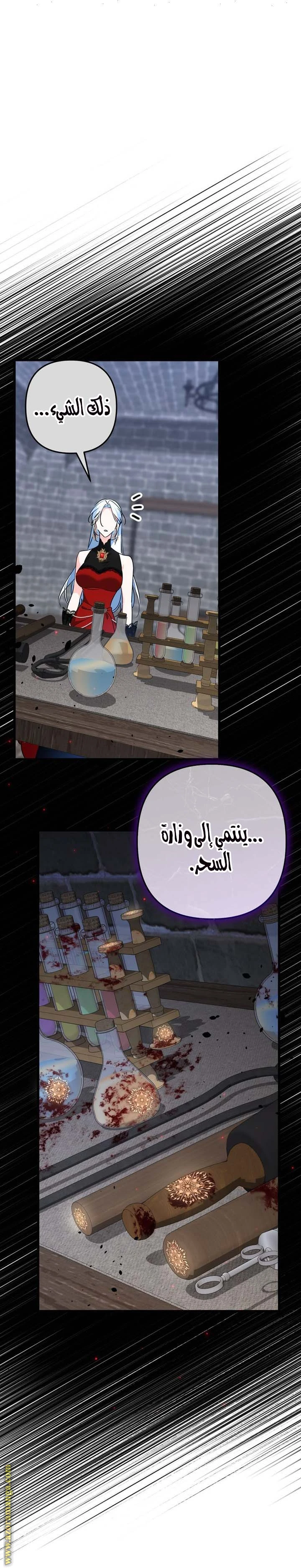 الصفحة 17