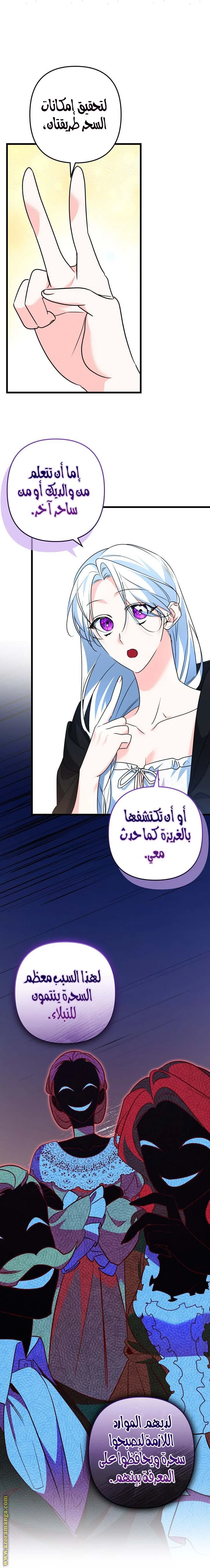 الصفحة 19