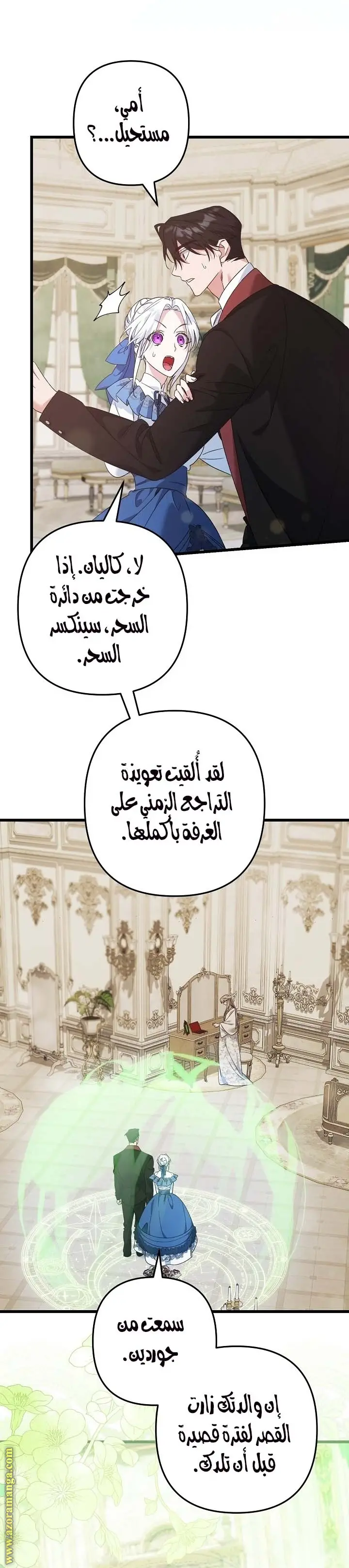 الصفحة 17
