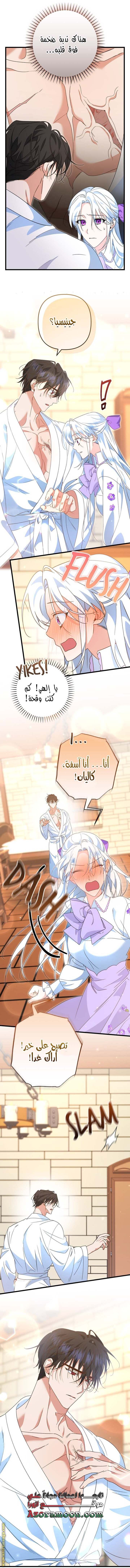 الصفحة 11