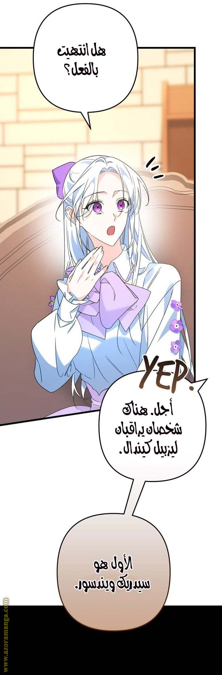الصفحة 17