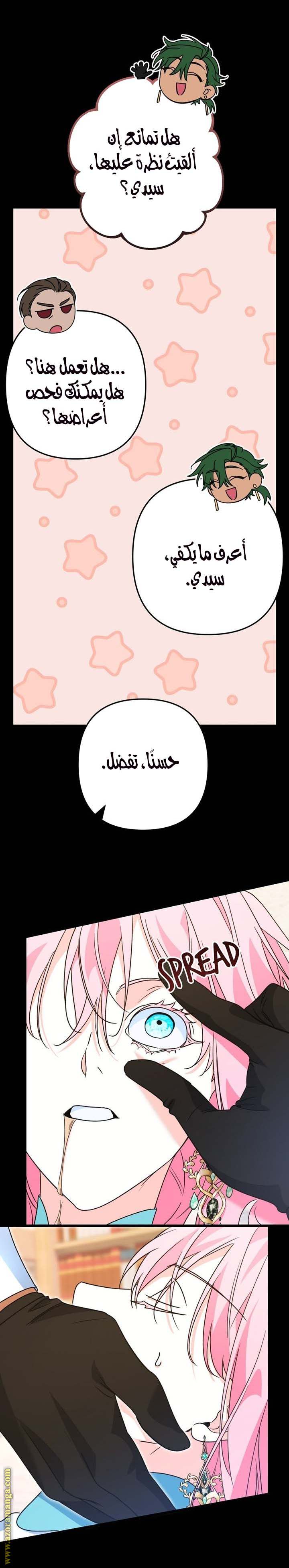 الصفحة 21