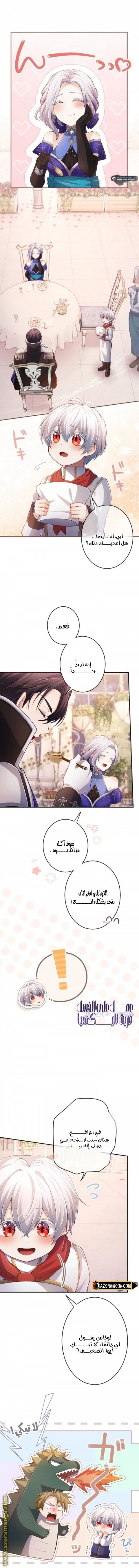 الصفحة 5