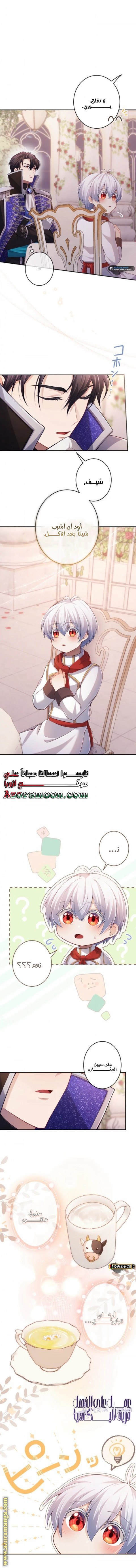 الصفحة 15