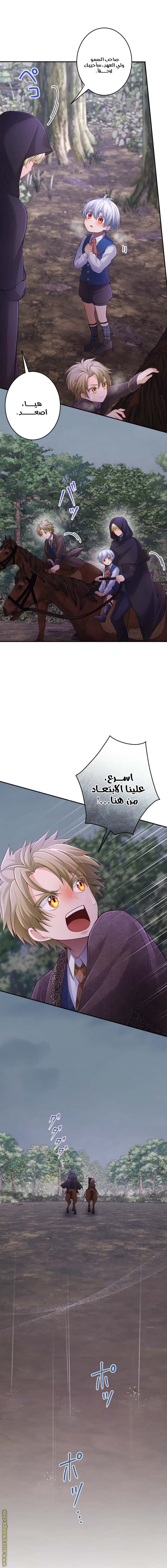 الصفحة 7