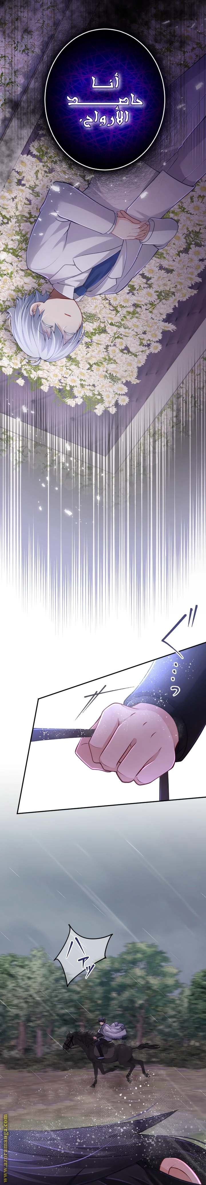 الصفحة 14