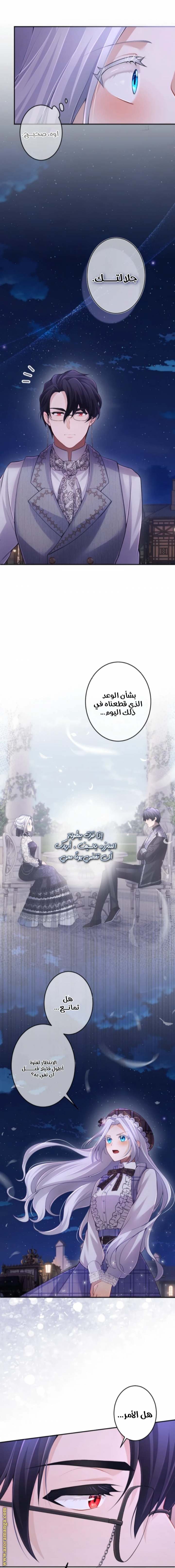 الصفحة 13