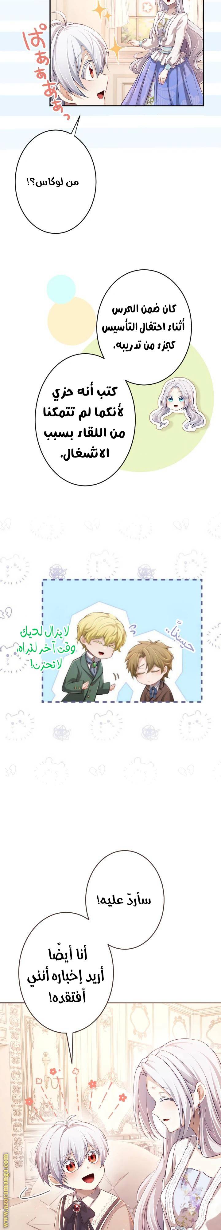 الصفحة 19