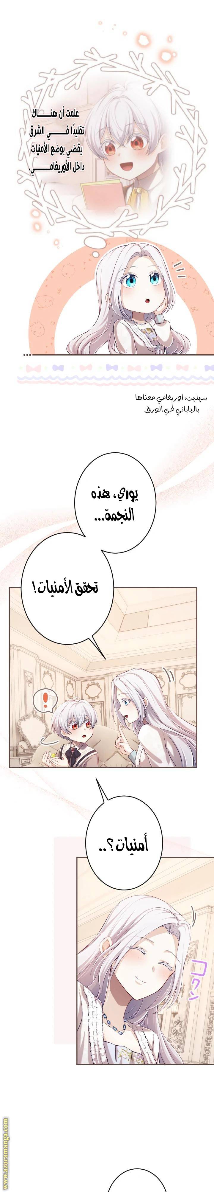 الصفحة 25