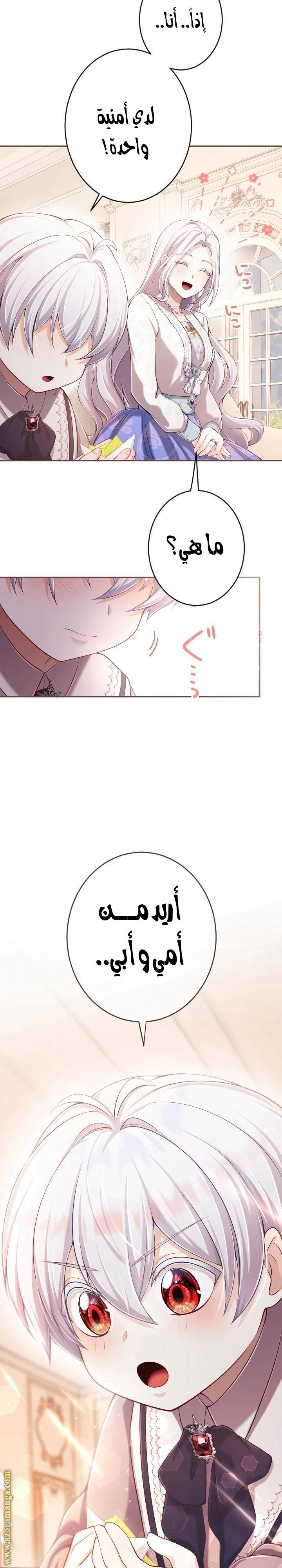 الصفحة 26