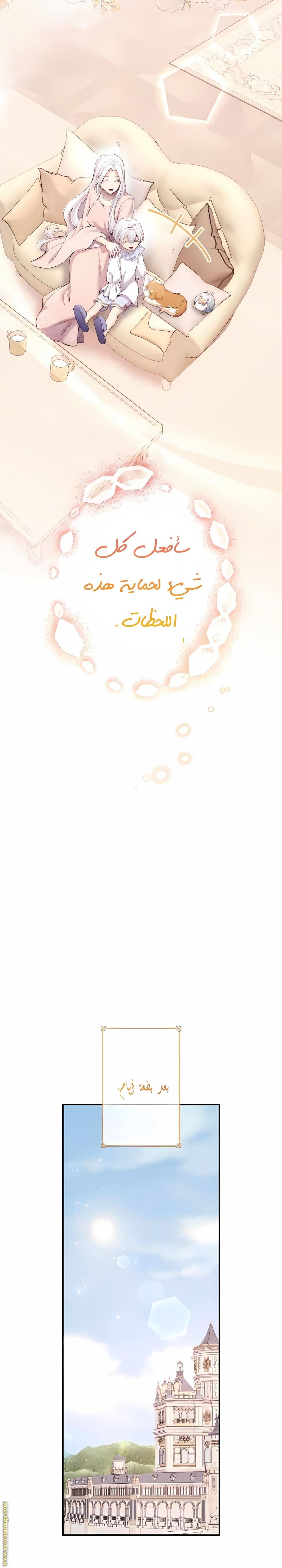 الصفحة 14