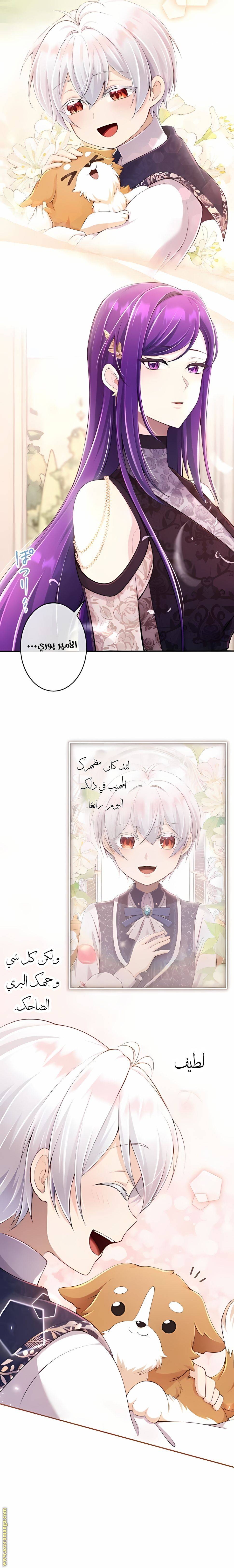 الصفحة 16