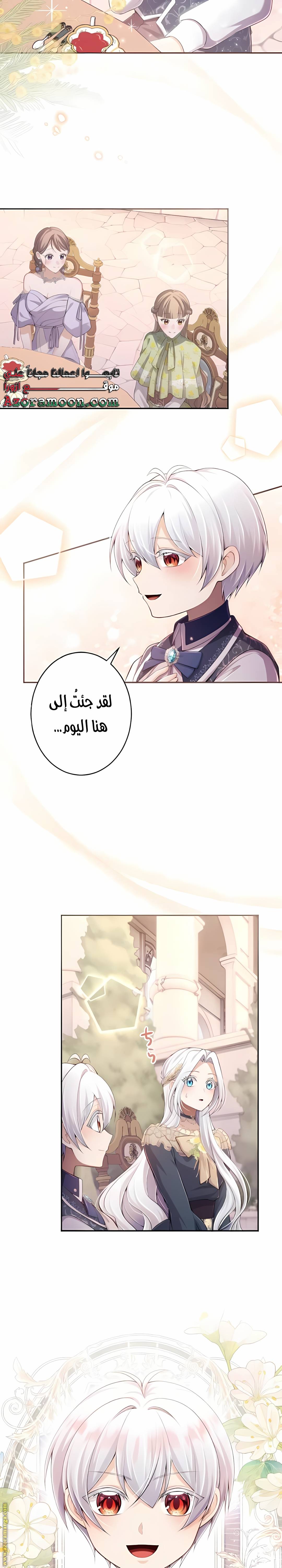 الصفحة 19