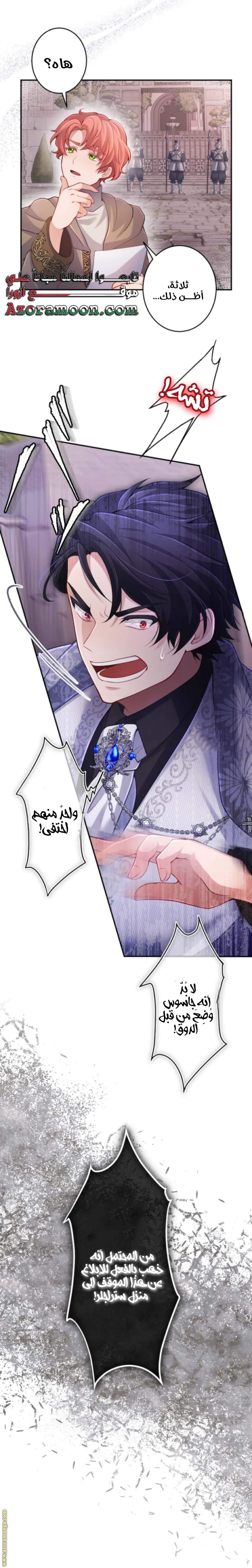 الصفحة 25