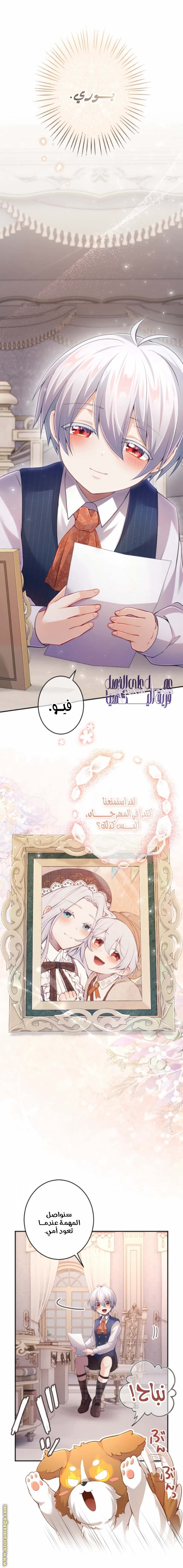 الصفحة 17