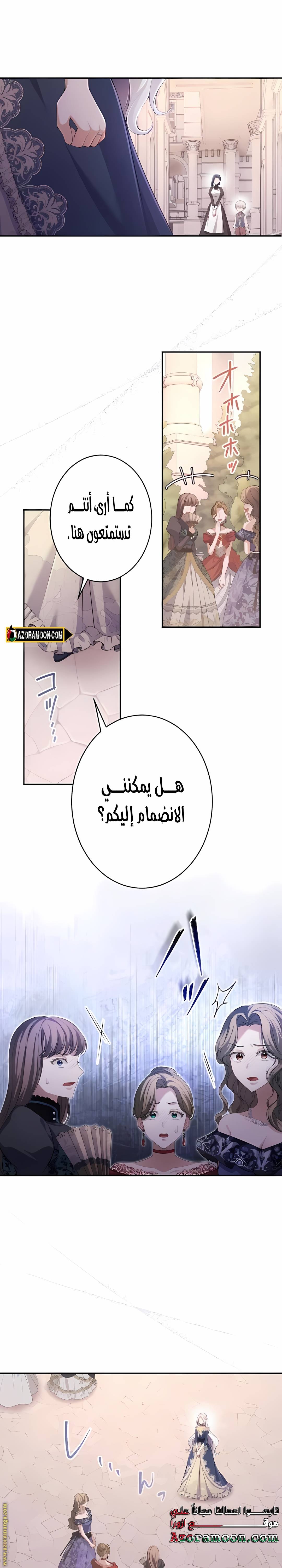 الصفحة 17