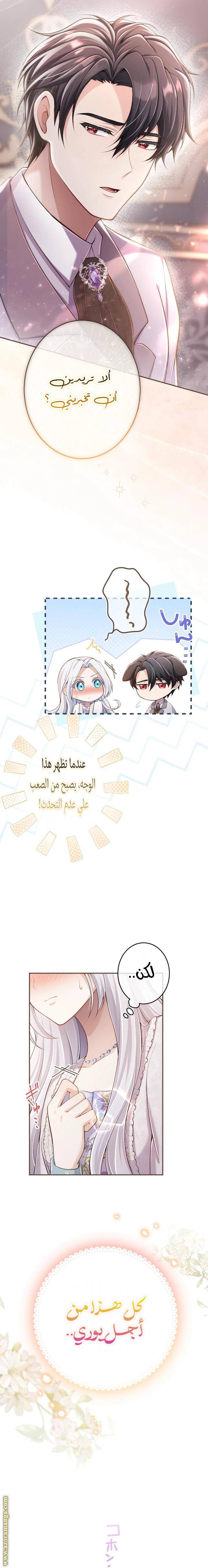 الصفحة 13