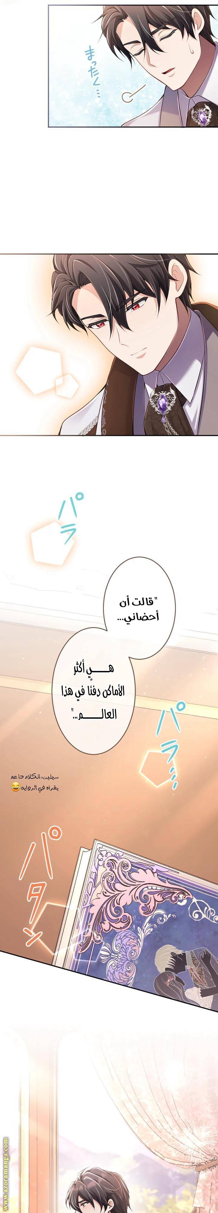 الصفحة 25