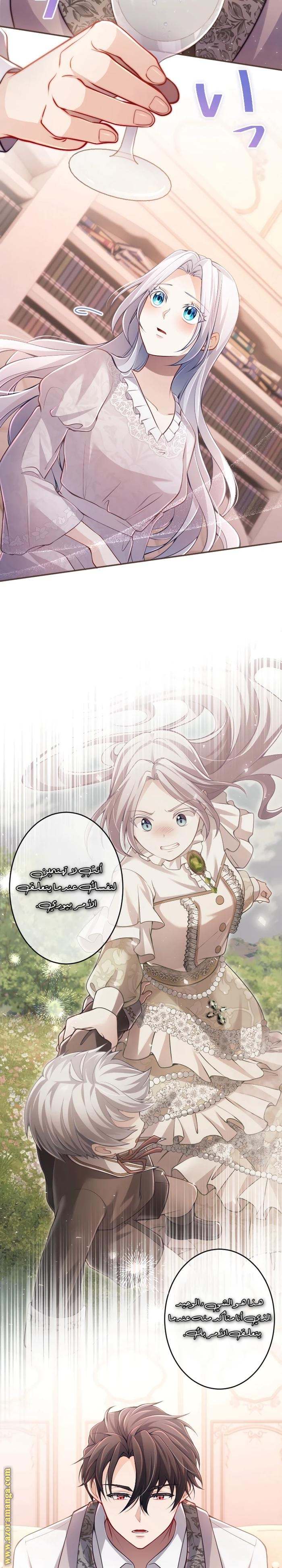 الصفحة 17