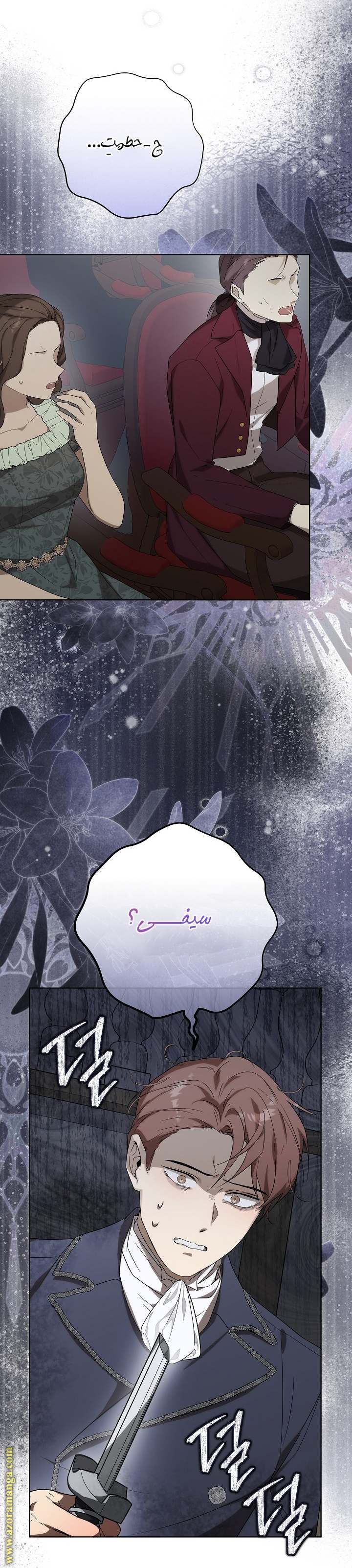الصفحة 27