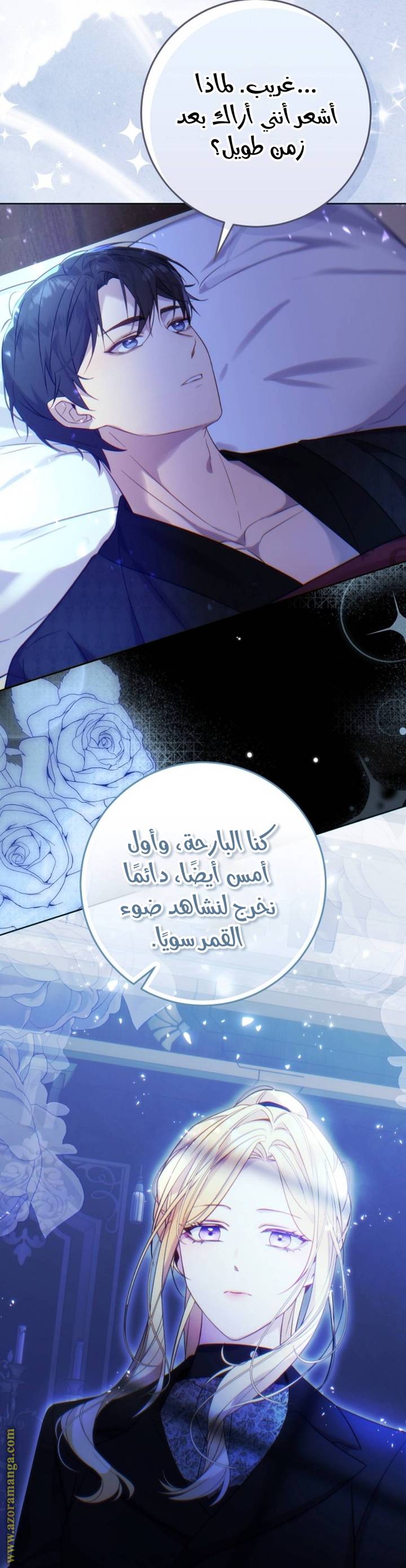 الصفحة 13