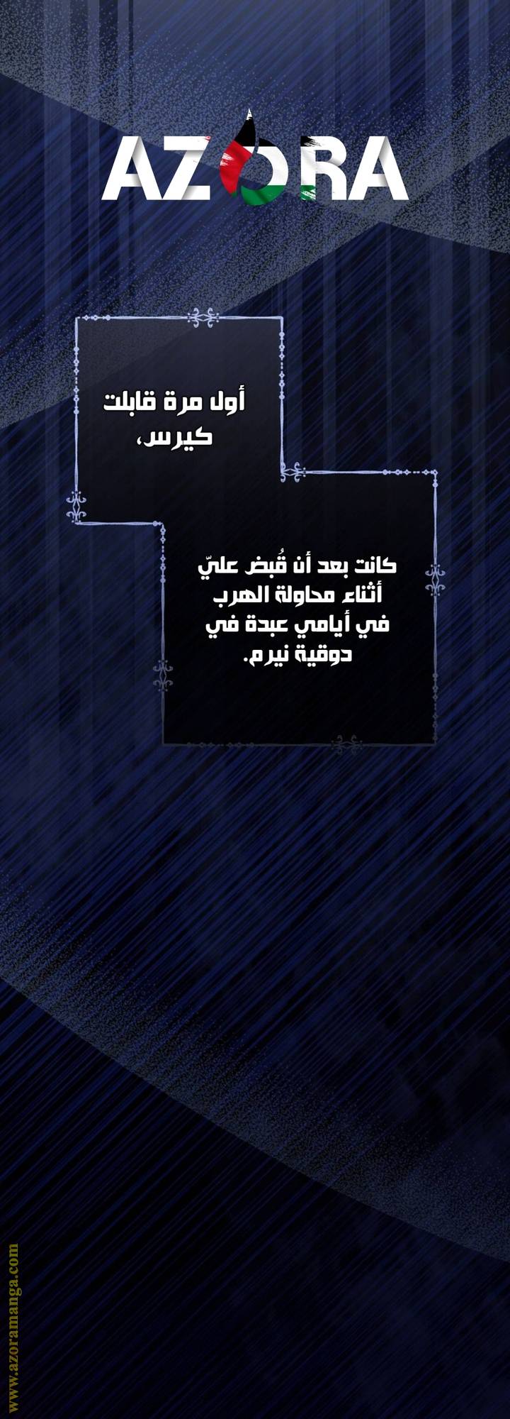 الصفحة 17