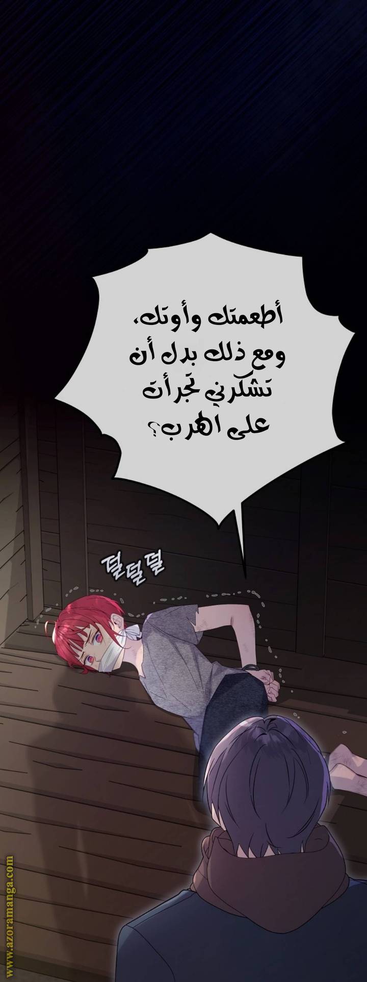 الصفحة 18