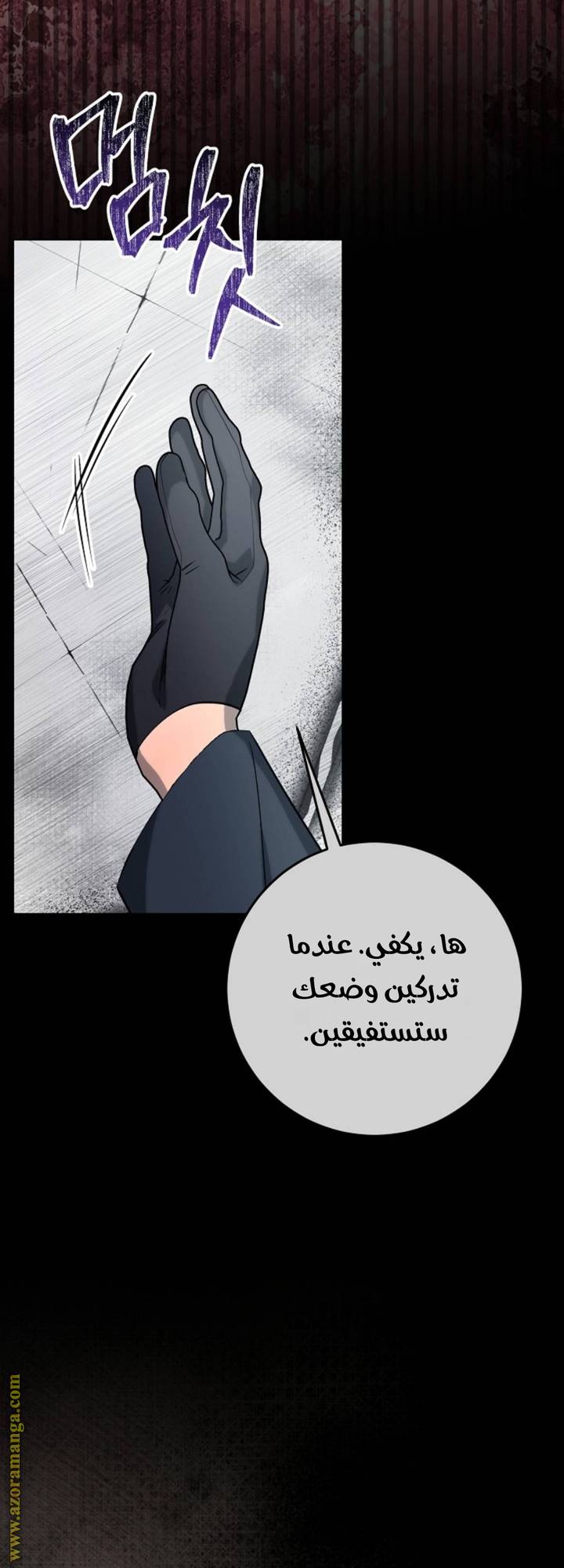 الصفحة 24