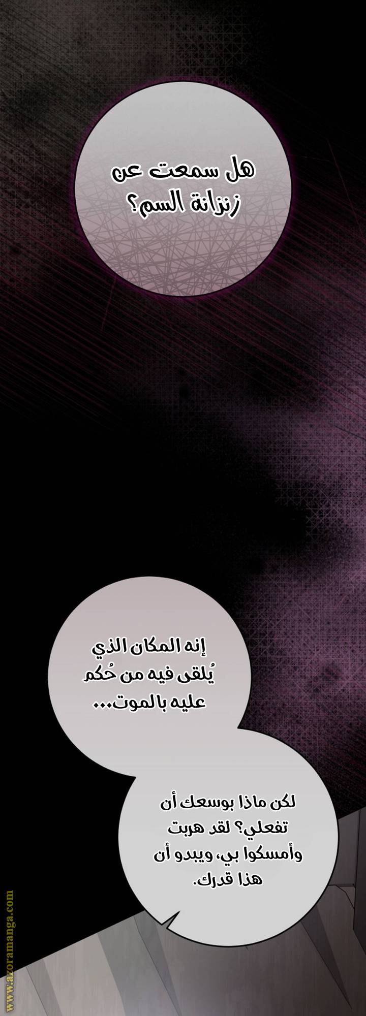 الصفحة 25