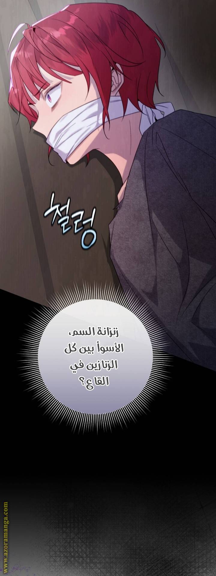 الصفحة 26
