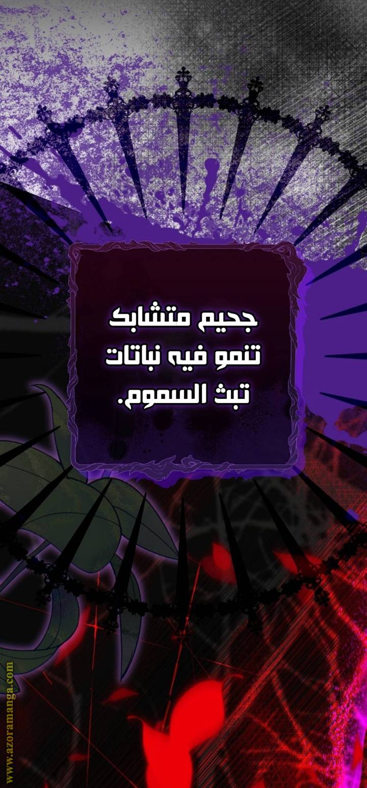 الصفحة 27