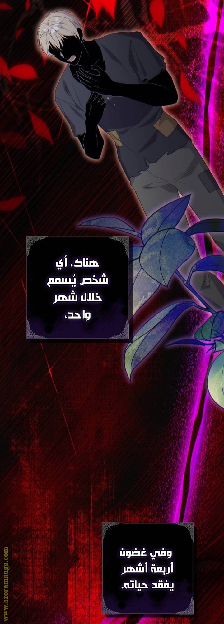 الصفحة 28