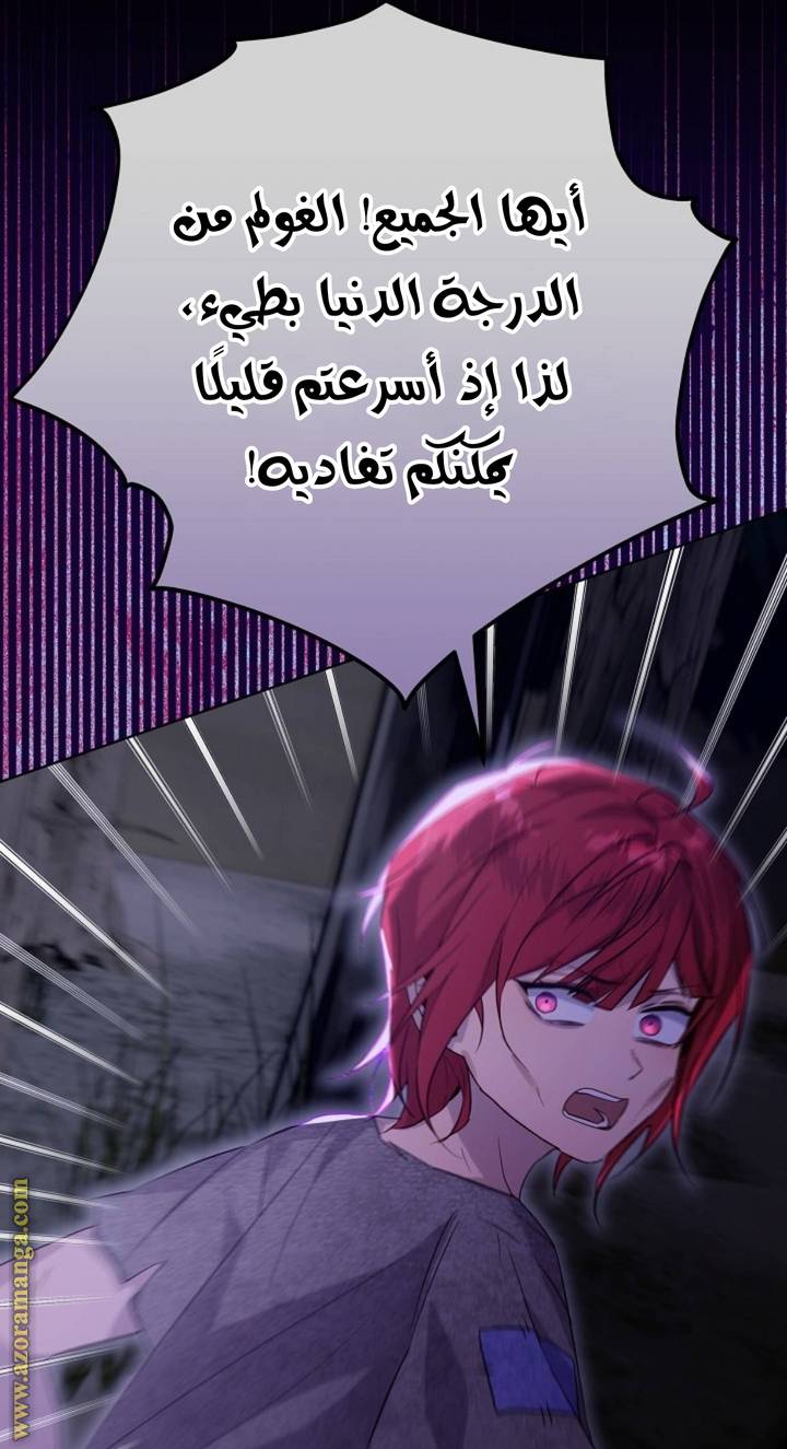 الصفحة 55