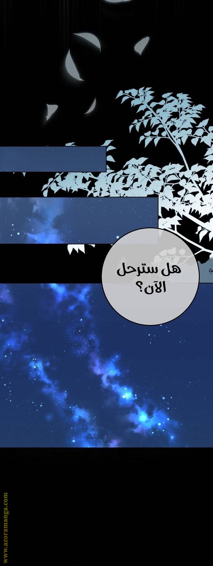 الصفحة 25