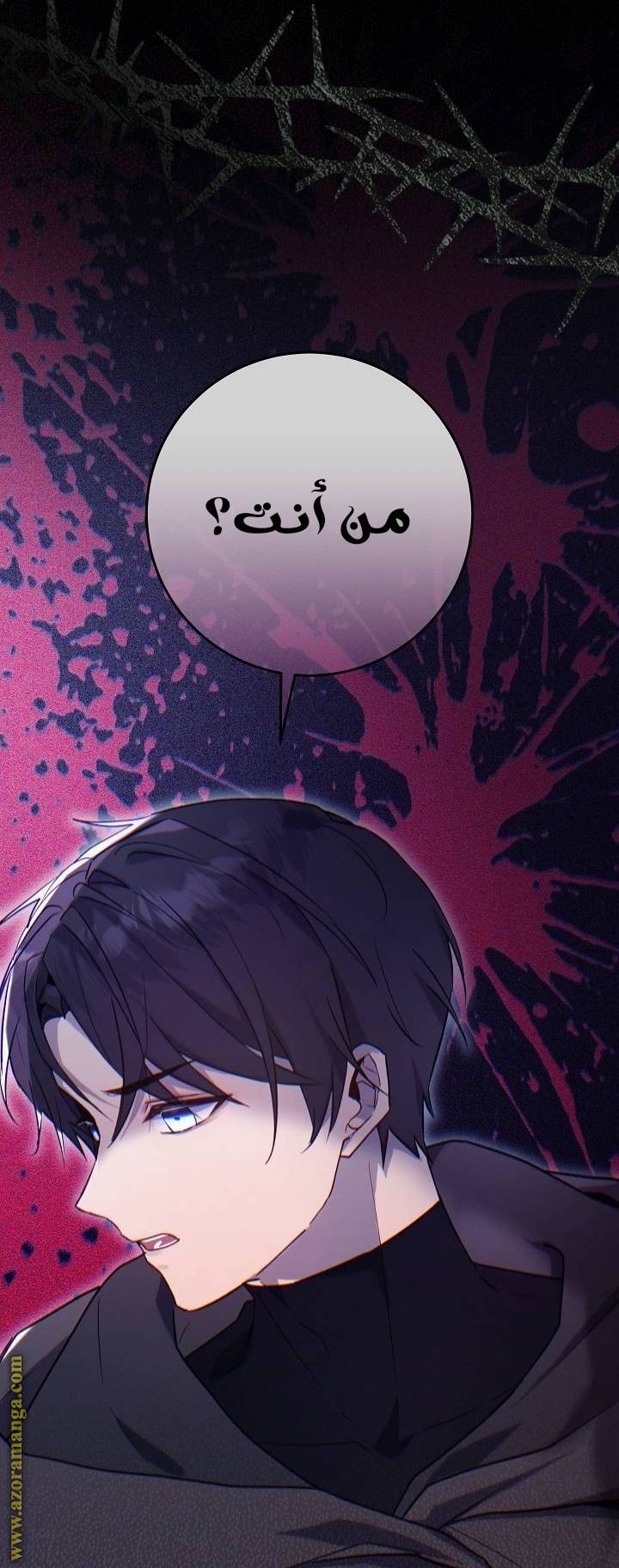 الصفحة 47