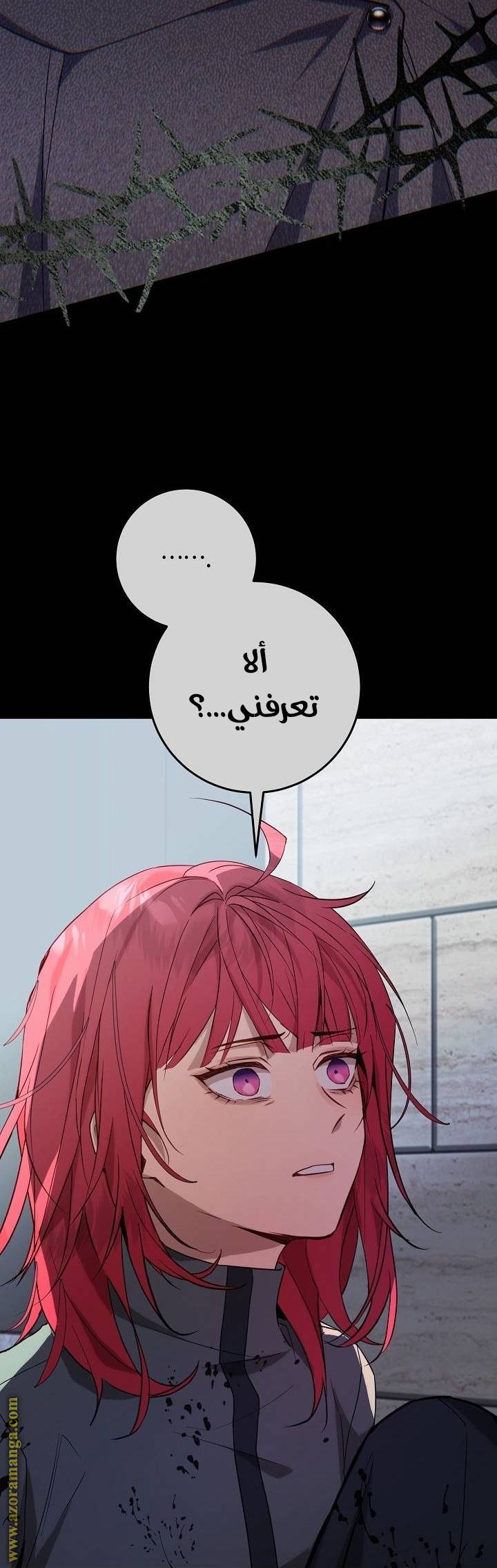 الصفحة 48