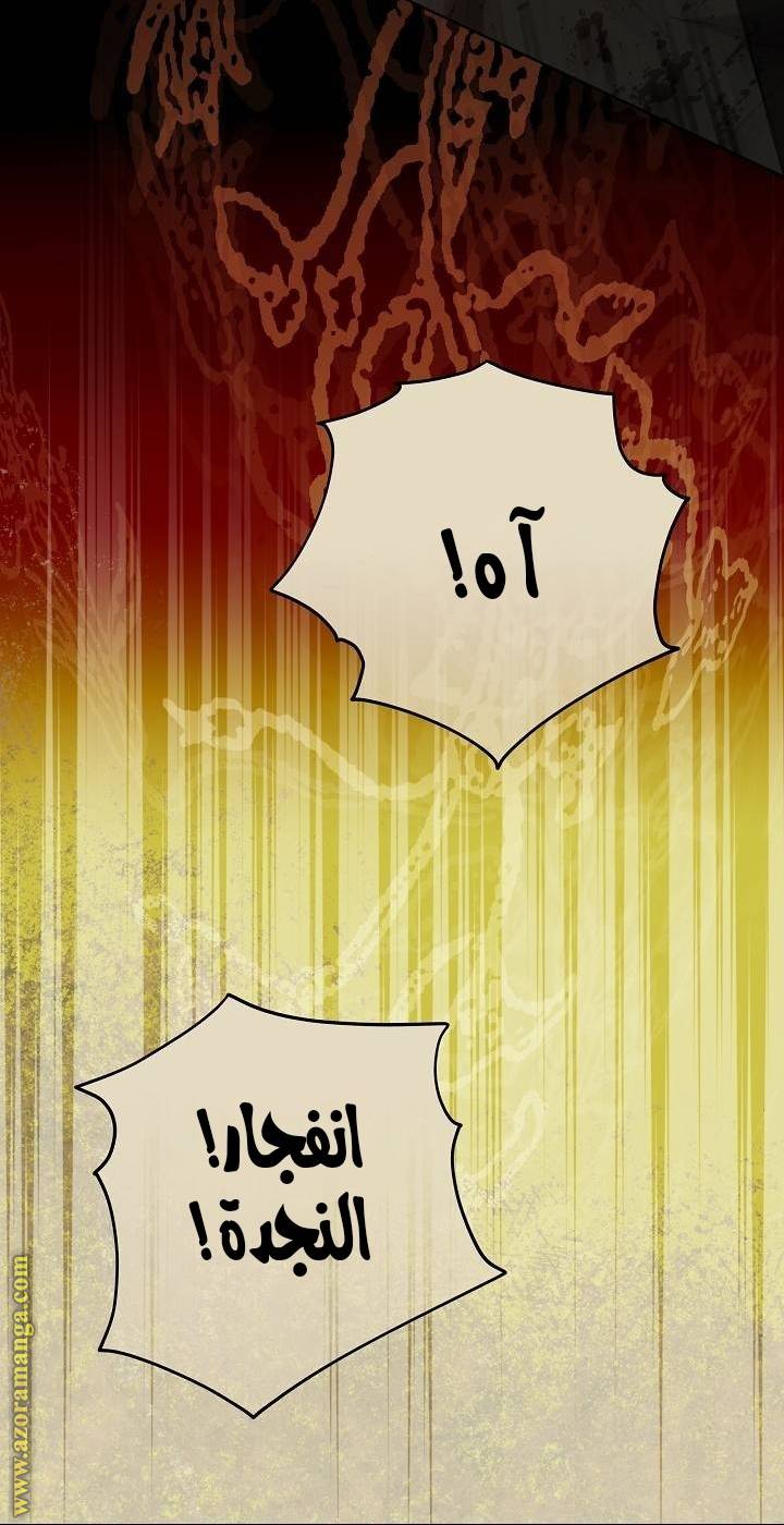 الصفحة 55
